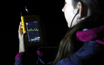 Learn about the experiences of some of our members at the 3rd European Alpine Bat Detector Workshop