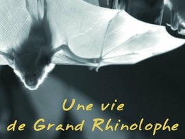 Conheça o filme: “A vida do Murciélago grande de herradura”