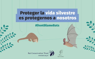 Don’t Blame Bats – Campaign Launch