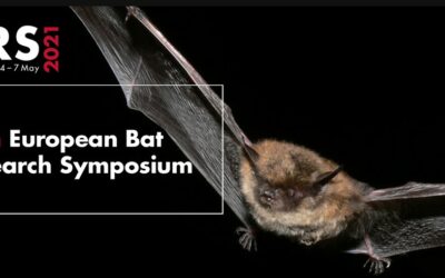 15th European Bat Research Symposium- Virtual conference, May 2021