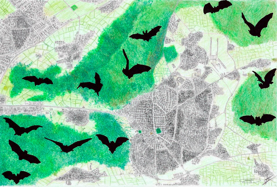 Modelización de la distribución de áreas de actividad de murciélagos para la conservación en una cordillera mediterránea