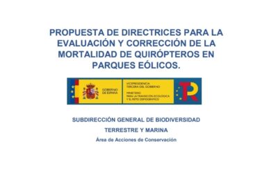 Propuesta de directrices para la evaluación y corrección de la mortalidad de quirópteros en parques eólicos por parte del Ministerio para la Transición Ecológica y el Reto Demográfico