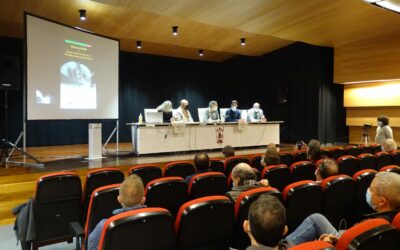 8TH CONFERENCE AND 33RD ANNUAL GENERAL MEETING OF SECEMU IN ALHAMA DE MURCIA, ORGANIZED BY MELES AND ANSE ASSOCIATIONS