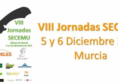 VIII Jornadas SECEMU