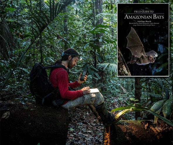 Guía de Campo para los Murciélagos de la Amazonía
