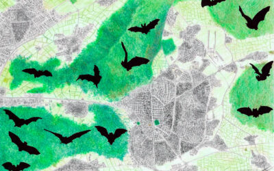 Modelling the distribution of bat activity areas for conservation in Guadarrama Mountains and its surroundings