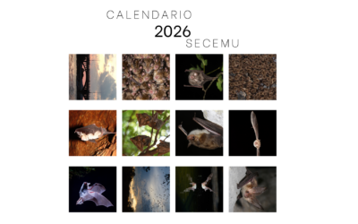 Calendario de SECEMU 2026
