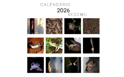 Calendário SECEMU 2026