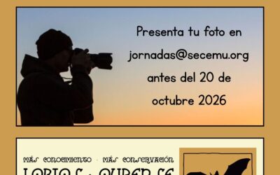 Participa en el II Certamen Ibérico de Fotografía de Murciélagos de SECEMU