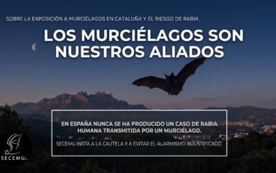Sobre la exposición a murciélagos en Cataluña y el riesgo de rabia